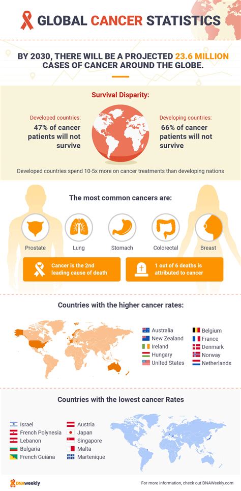 2024 病位|World health statistics 2024